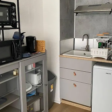 Apartamento Avec Balcon, Parking Gratuit, Proche Pistes La Pierre Saint-Martin